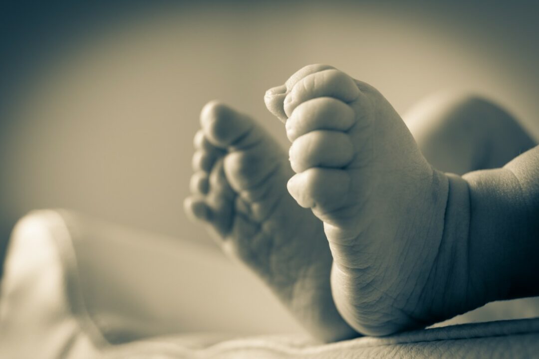 Faire-part de naissance